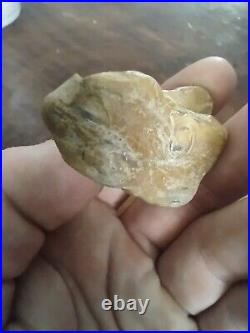 Native American Effigy Portable Rock Art. Rare Pre-1600. Great Value Artifacts