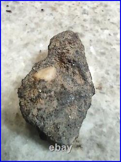 Native American Effigy Portable Rock Art Rare Prehistoric Rock Art Pre-1600 Rare