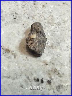 Native American Effigy Portable Rock Art Rare Prehistoric Rock Art Pre-1600 Rare