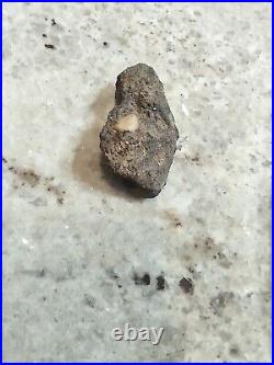 Native American Effigy Portable Rock Art Rare Prehistoric Rock Art Pre-1600 Rare