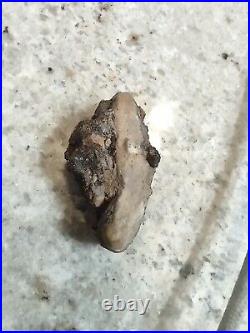 Native American Effigy Portable Rock Art Rare Prehistoric Rock Art Pre-1600 Rare