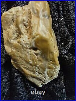 Native American Effigy Portable Rock Art Sale! Rare. Great Value Artifacts