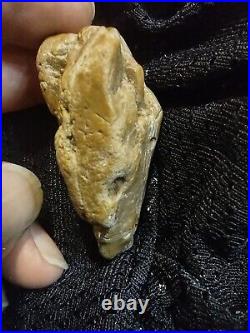 Native American Effigy Portable Rock Art Sale! Rare. Great Value Artifacts