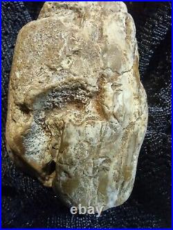 Native American Effigy Portable Rock Art Sale! Rare. Great Value Artifacts