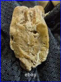 Native American Effigy Portable Rock Art Sale! Rare. Great Value Artifacts