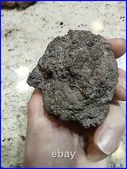 Native American Effigy. VOLCANIC ROCK Art. (Vascular Basalt). Super Rare