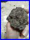 Native-American-Effigy-VOLCANIC-ROCK-Art-Vascular-Basalt-Super-Rare-01-zne