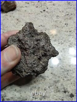 Native American Effigy. VOLCANIC ROCK Art. (Vascular Basalt). Super Rare