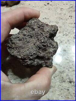 Native American Effigy. VOLCANIC ROCK Art. (Vascular Basalt). Super Rare