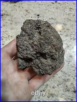 Native American Effigy. VOLCANIC ROCK Art. (Vascular Basalt). Super Rare