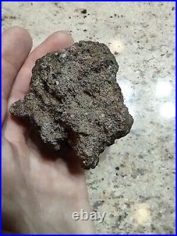 Native American Effigy. VOLCANIC ROCK Art. (Vascular Basalt). Super Rare