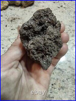 Native American Effigy. VOLCANIC ROCK Art. (Vascular Basalt). Super Rare