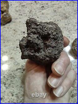 Native American Effigy. VOLCANIC ROCK Art. (Vascular Basalt). Super Rare