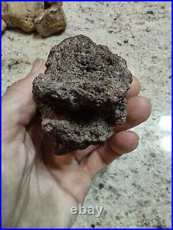 Native American Effigy. VOLCANIC ROCK Art. (Vascular Basalt). Super Rare