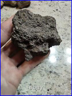 Native American Effigy. VOLCANIC ROCK Art. (Vascular Basalt). Super Rare