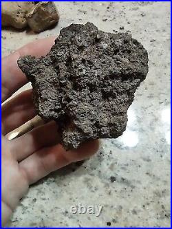 Native American Effigy. VOLCANIC ROCK Art. (Vascular Basalt). Super Rare