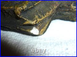 Native American Indian Warrior W Buffalo War Robe Resin Statue RARE