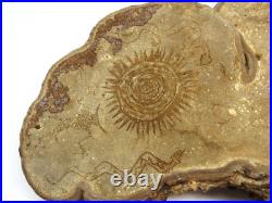 Native American Indians Pictographs on Fungus Conk 8 Old Symbols 15 x 11 RARE