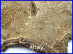 Native American Indians Pictographs on Fungus Conk 8 Old Symbols 15 x 11 RARE