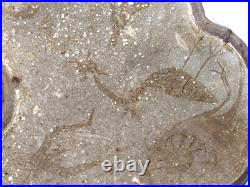 Native American Indians Pictographs on Fungus Conk 8 Old Symbols 15 x 11 RARE