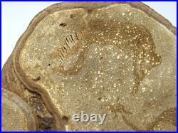 Native American Indians Pictographs on Fungus Conk 8 Old Symbols 15 x 11 RARE