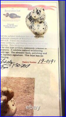 Native American Popeye Birdstone Rare Speckled Quartz Bust Type Museum Grade COA