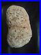 Native-American-Portable-Rock-Art-Hundreds-Of-Faces-Rare-Great-Value-Artifacts-01-rxwy