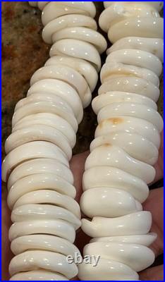 Native American Puka Shell Necklace, Rare 18-20mm, Heishi, Moonstone, SpinyOyster