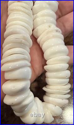 Native American Puka Shell Necklace, Rare 18-20mm, Heishi, Moonstone, SpinyOyster
