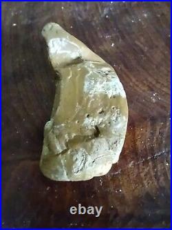 Native American Rock Art Effigy Portable Rock Art Rare. Great Value Artifacts