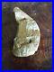 Native-American-Rock-Art-Effigy-Portable-Rock-Art-Rare-Great-Value-Artifacts-01-wuxx