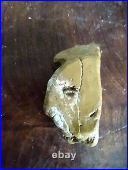 Native American Rock Art Effigy Portable Rock Art Rare. Great Value Artifacts