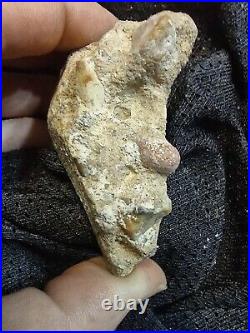 Native American Stone Effigy. Portable Rock Art Face. Rare Great Value Artifacts