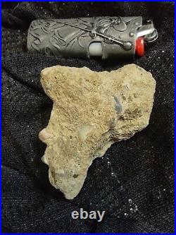 Native American Stone Effigy. Portable Rock Art Face. Rare Great Value Artifacts