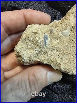 Native American Stone Effigy. Portable Rock Art Face. Rare Great Value Artifacts