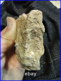 Native American Stone Effigy. Portable Rock Art Face. Rare Great Value Artifacts