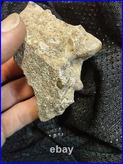 Native American Stone Effigy. Portable Rock Art Face. Rare Great Value Artifacts