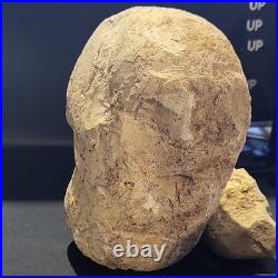 Native American Stone Effigy. Portable Rock Art. Rare. E01 Artifacts