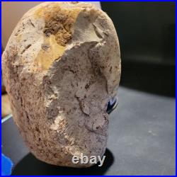 Native American Stone Effigy. Portable Rock Art. Rare. E01 Artifacts