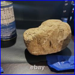 Native American Stone Effigy. Portable Rock Art. Rare. E01 Artifacts