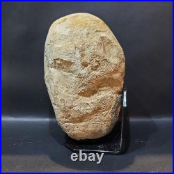 Native American Stone Effigy. Portable Rock Art. Rare. E01 Artifacts
