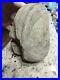 Native-American-Stone-Effigy-Portable-Rock-Art-Rare-Great-Value-Artifacts-01-bt