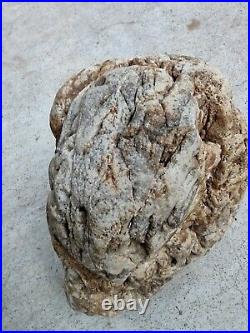 Native American Stone Effigy. Portable Rock Art. Rare. Great Value Artifacts