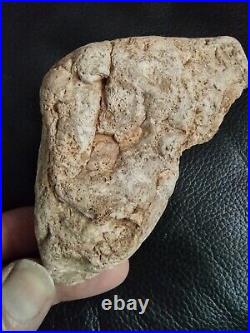 Native American Stone Effigy. Portable Rock Art. Rare. Great Value Artifacts