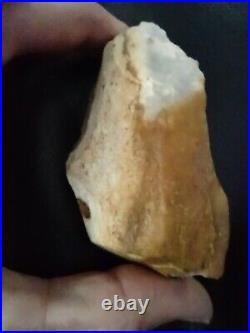 Native American Stone Effigy. Portable Rock Art. Rare. Great Value Artifacts