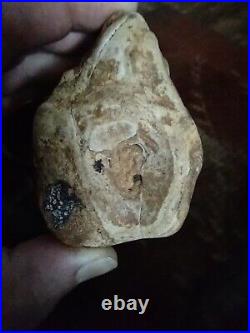 Native American Stone Effigy Portable Rock Art Rare. Great Value Artifacts