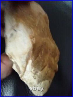 Native American Stone Effigy. Portable Rock Art. Rare. Great Value Artifacts