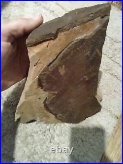 Native American Stone Effigy. Portable Rock Art. Rare. Great Value Artifacts