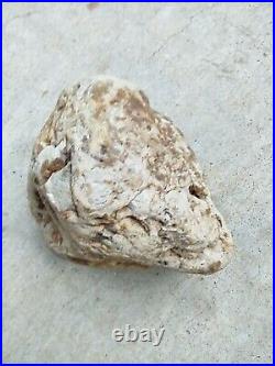 Native American Stone Effigy. Portable Rock Art. Rare. Great Value Artifacts