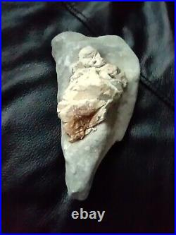 Native American Stone Effigy. Portable Rock Art. Rare. Great Value Artifacts